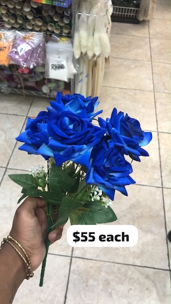 Open Rose